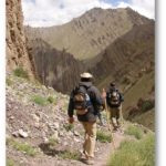 Si Mahoma no va a la montaña, la montaña irá a Mahoma